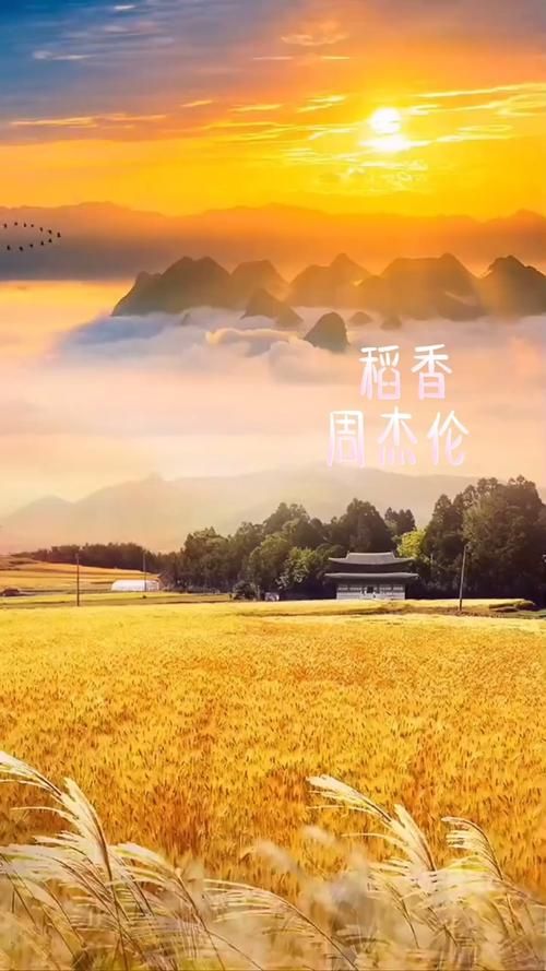 回味经典：周杰伦稻香背后的创作故事与意义