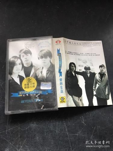 Beyond一厢情愿：那些年我们为爱一厢情愿的青春