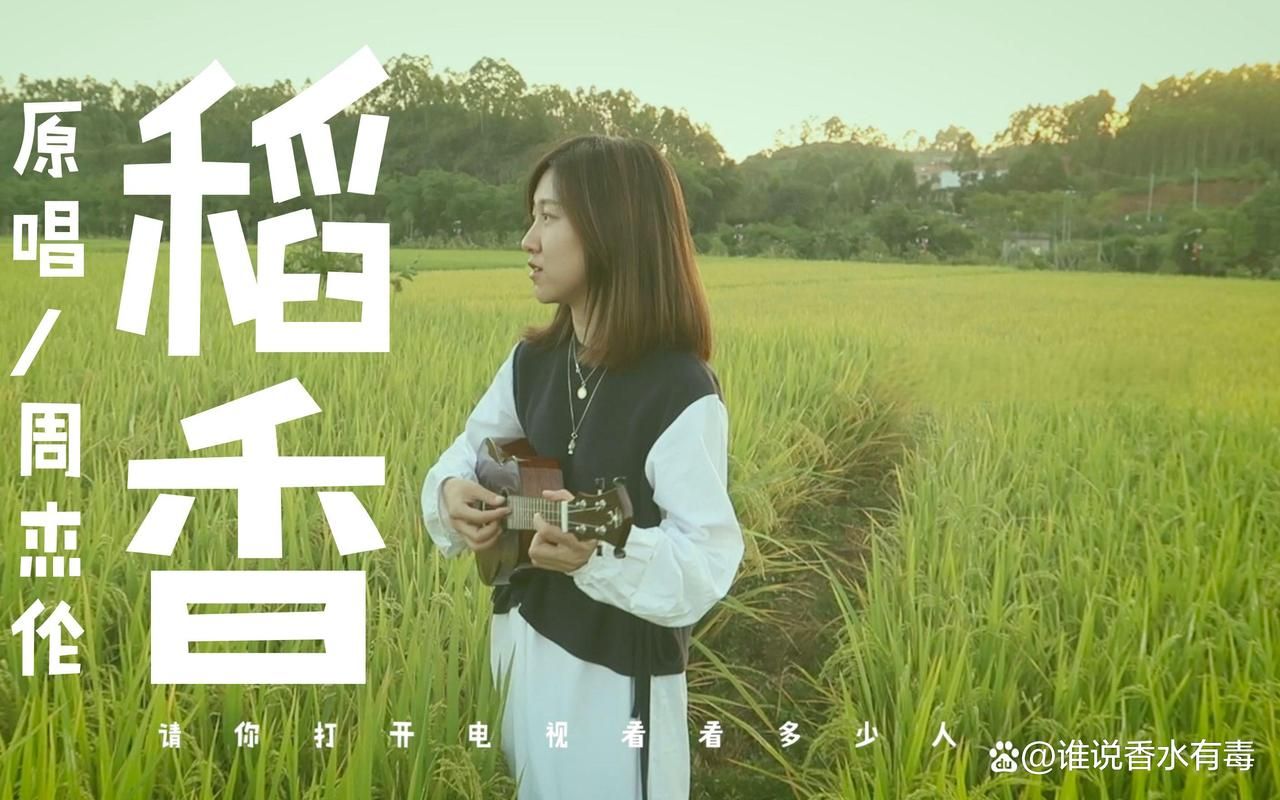 为什么说梯田周杰伦很神？这首歌当年到底有多超前？