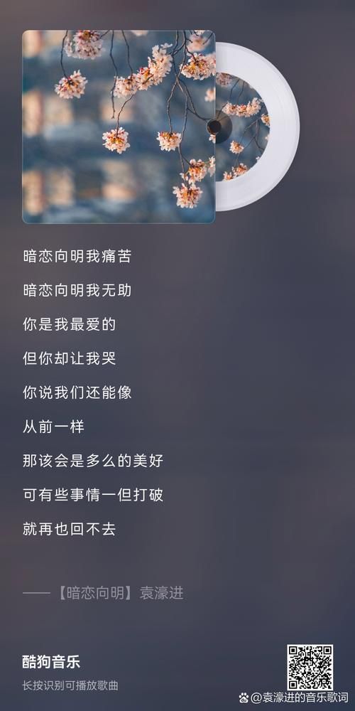 何必在一起 张杰谢娜歌词有什么深意？深度解析歌曲内涵。