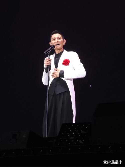 刘德华2013湖南跨年演唱会回顾，经典瞬间不容错过！