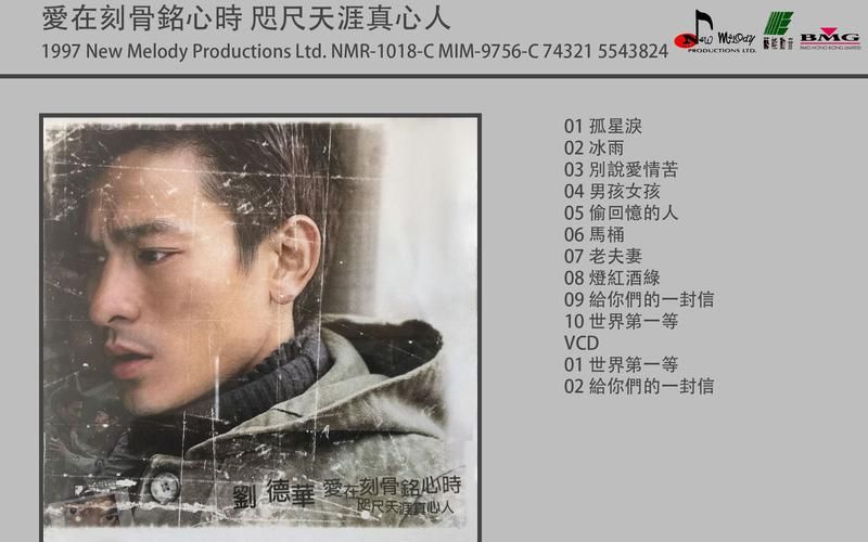 刘德华孤星泪：歌曲背后的故事，你了解吗？