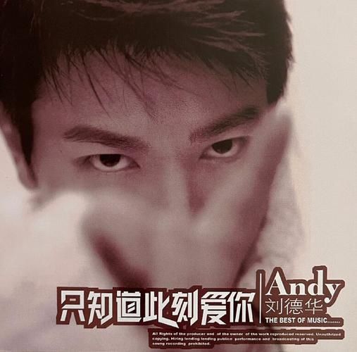 刘德华爱你一万年歌词背后的故事，你知道吗？