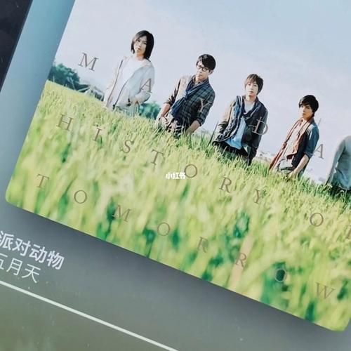 哪里能在线听派对动物 五月天？这几个官方音乐平台免费畅听！