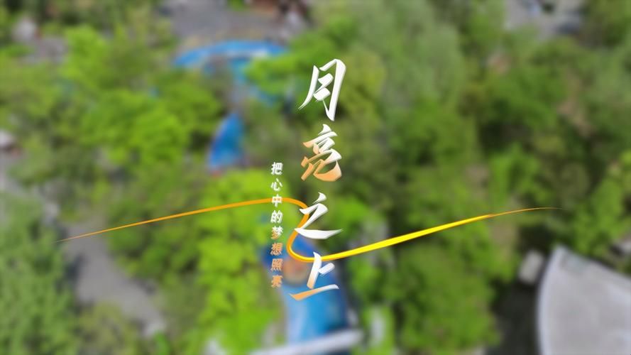 在哪里能听到张杰 月亮？这几个音乐APP都有！