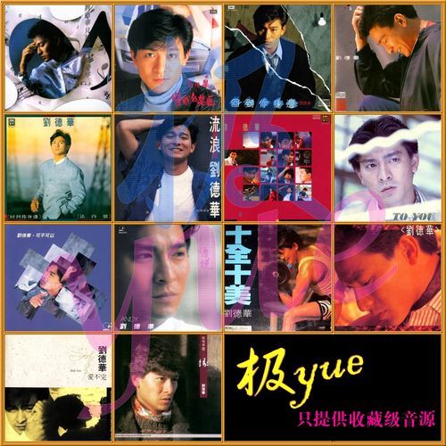 寻找归宿刘德华完整版歌曲？教你几招轻松找到高清音源！