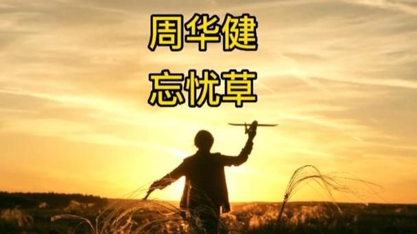 忘忧草周华健哪里可以听？这首经典老歌送给你。