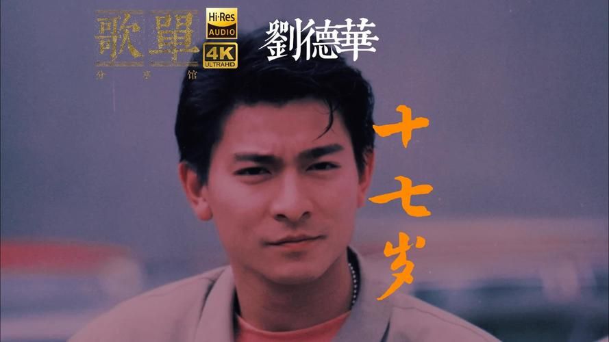 找刘德华视频素材用什么软件？这几款简单又好用！