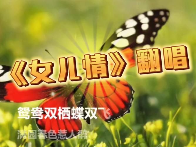 林俊杰 女儿情 哪个现场版本最经典？神级翻唱不容错过！