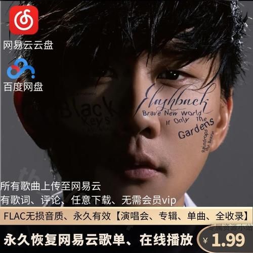 林俊杰mp3打包下载，一次听个够！