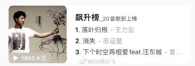 王力宏 落叶归根 歌词到底什么意思？听懂的人都沉默了！
