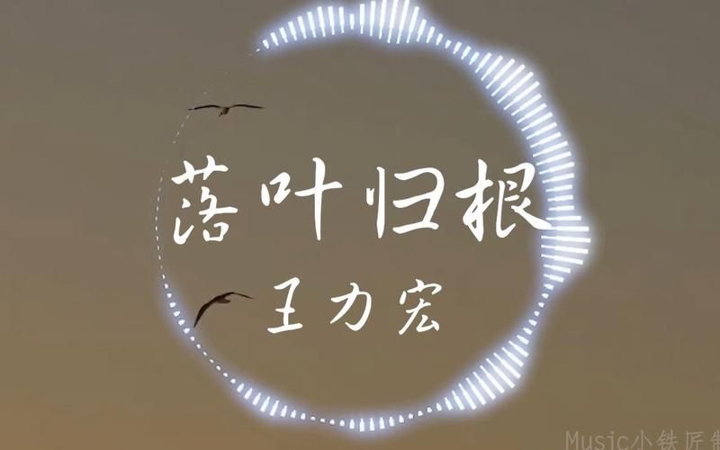 落叶归根王力宏这首歌在哪能听？分享几个免费听歌好地方！