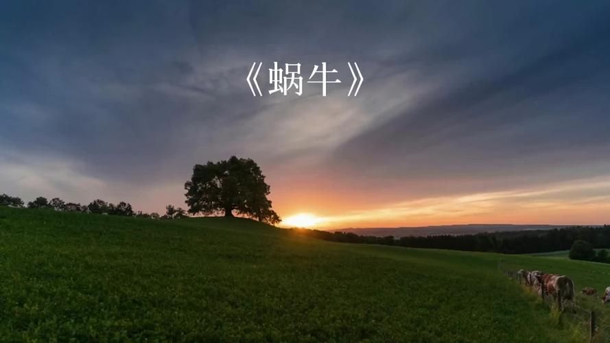 蜗牛周杰伦：每次听都有不同的感悟和体会！