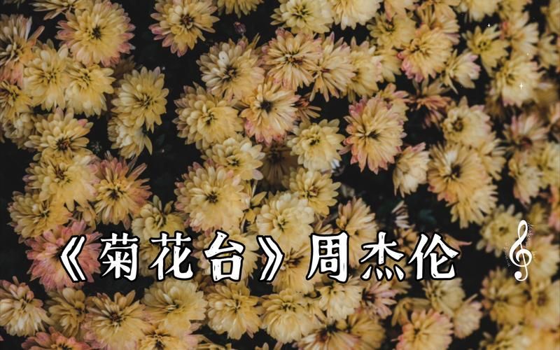 谁懂啊！周杰伦菊花台永远的神，太好听了吧！