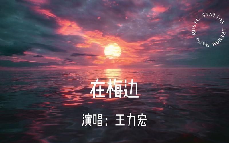 重温在梅边王力宏这首歌，它的独特魅力不容错过！