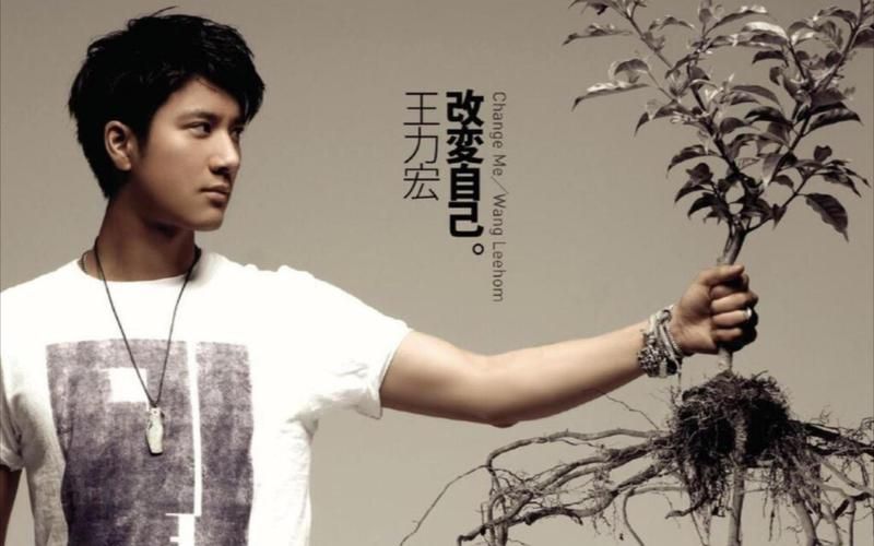 重温经典歌曲王力宏让我取暖，感受那份纯粹的感动。