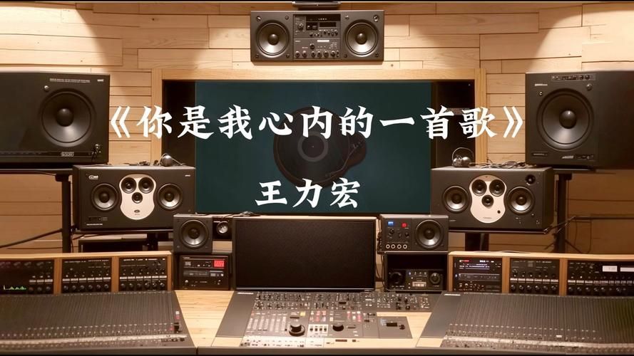 重温经典歌曲王力宏让我取暖，感受那份纯粹的感动。