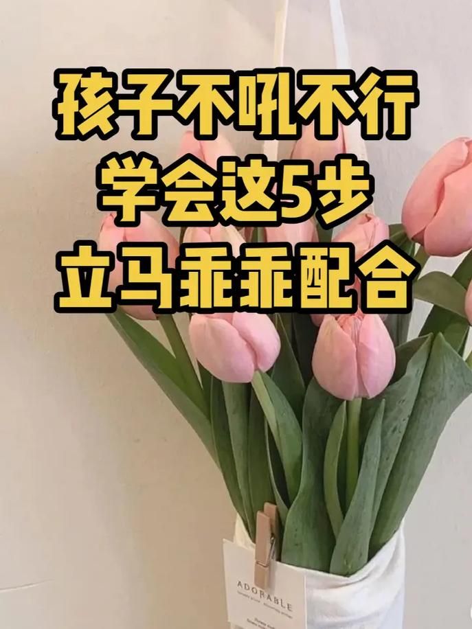 上乖乖网能学到什么？海量育儿知识等你来看！