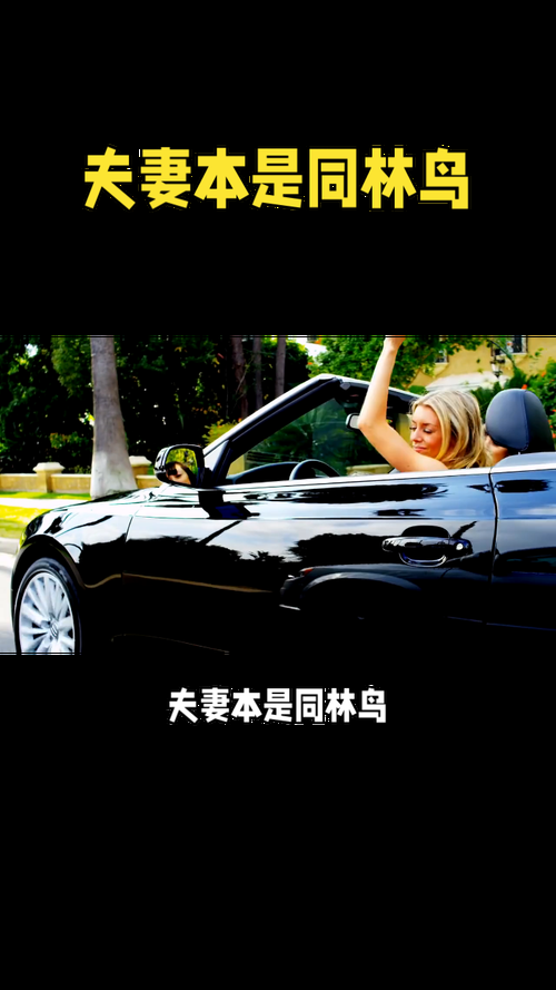 不想做大难临头的同林鸟，夫妻感情要怎么维护？
