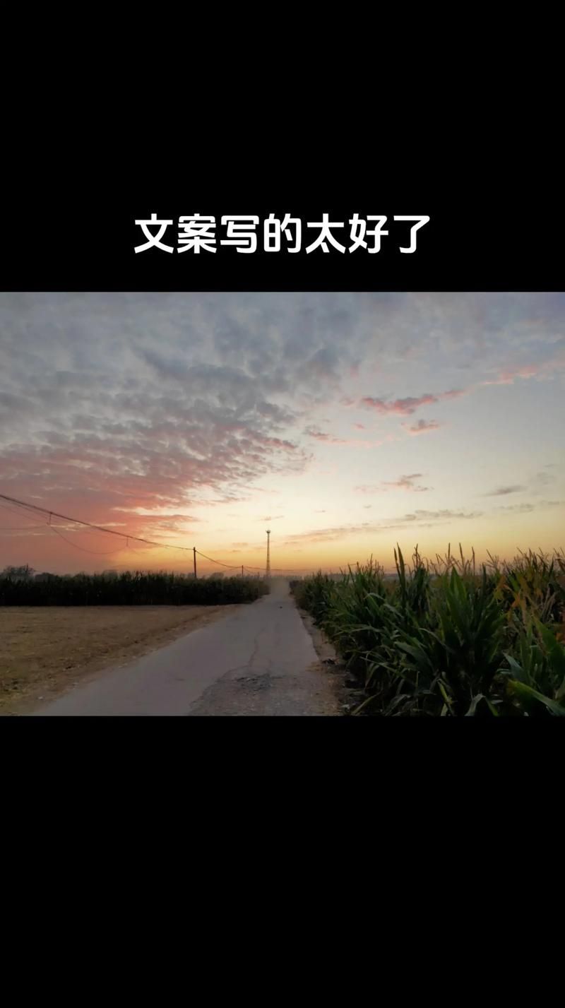 不想再当痴心人怎么办？试试这三个方法告别卑微。
