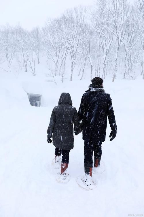 你理解的雪中情是什么？分享那些关于冬天的温暖爱情记忆。
