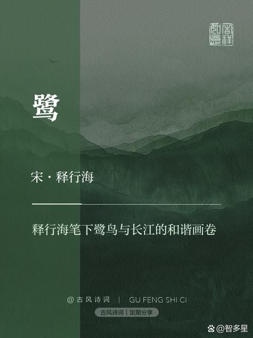 关于王海鹭的详细资料哪里找？你想知道的都在这！