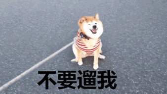 关于遛你玩的那些搞笑梗？看看网友们怎么说！