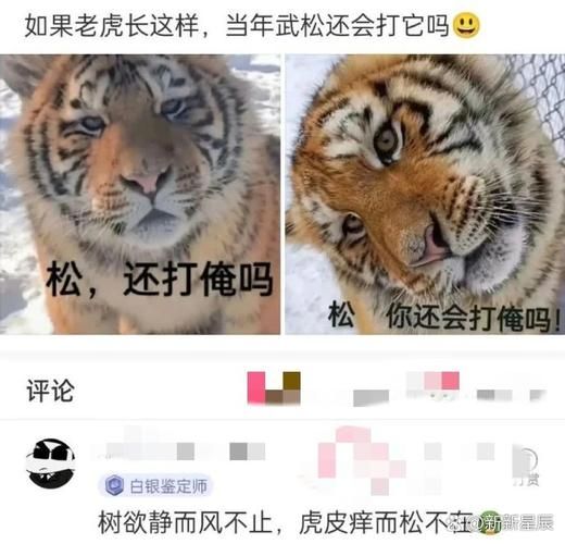 关于遛你玩的那些搞笑梗？看看网友们怎么说！