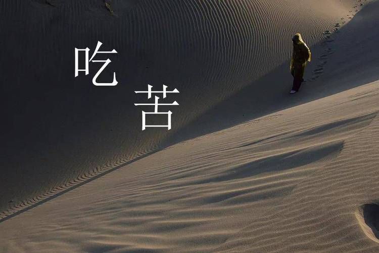 冯泽雨都做过什么事？盘点他的主要经历和成就！