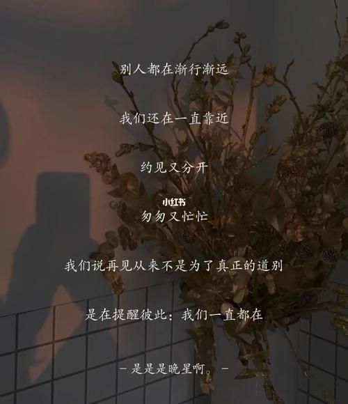 别送我，我怕我会忍不住哭出来，再见是为了下次相见。