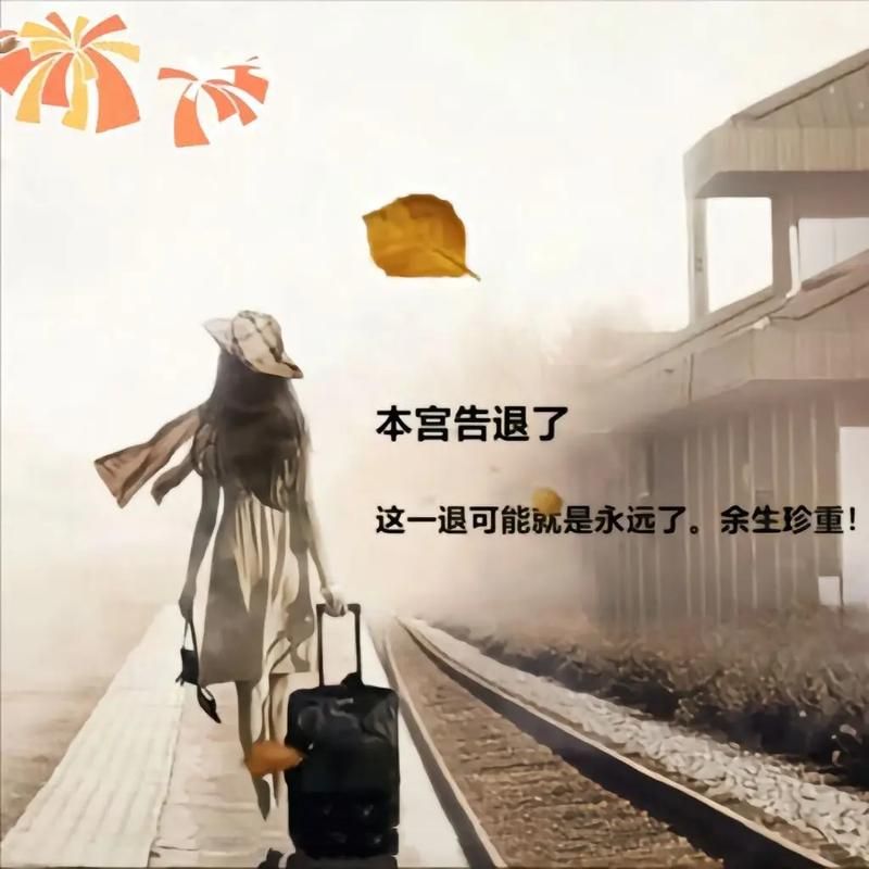 别送我，我怕我会忍不住哭出来，再见是为了下次相见。