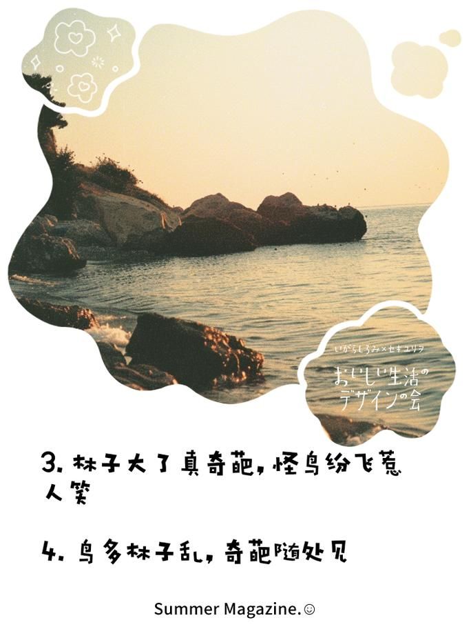 听懂了林中鸟想表达什么？也许我们都渴望自由！