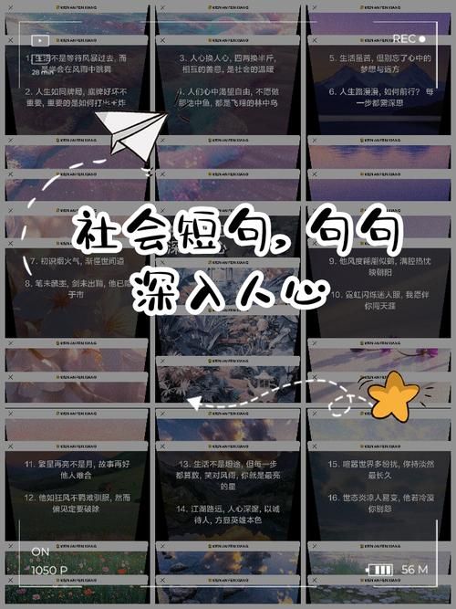 听懂了林中鸟想表达什么？也许我们都渴望自由！