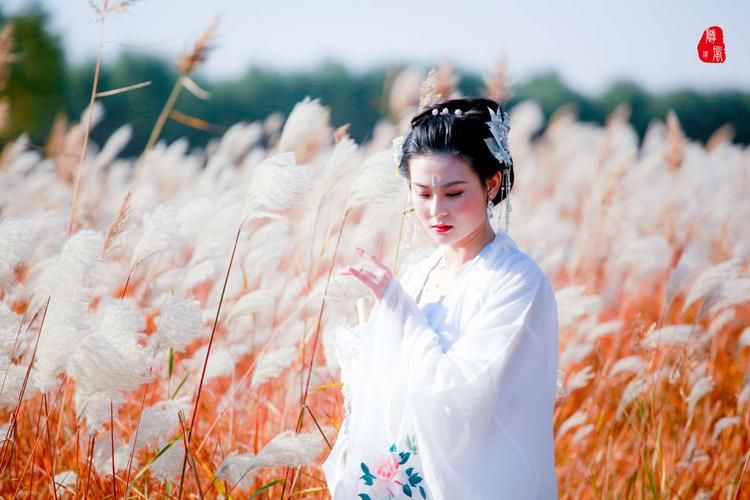 哪里可以找到女儿吟完整版？这几个地方帮你轻松获取全文。