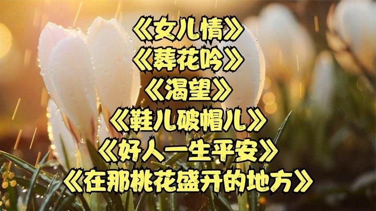 哪里可以找到女儿吟完整版？这几个地方帮你轻松获取全文。