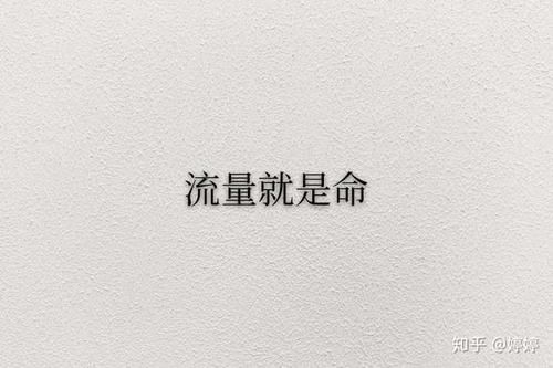 哪里可以找到婷婷五的完整信息？这几个渠道最靠谱！