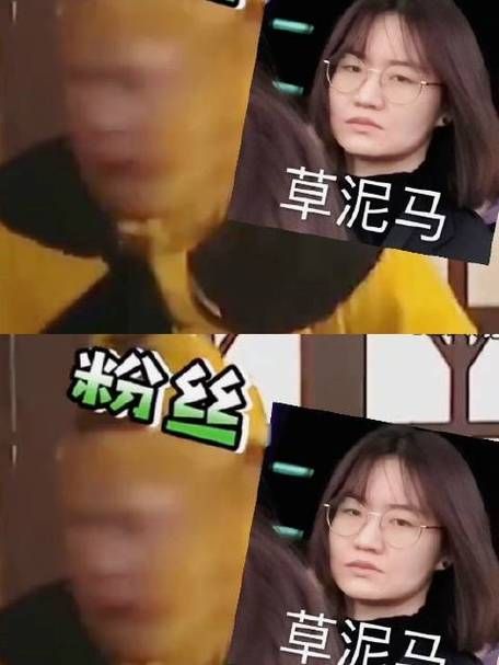 哪里有哈哈舞的教学视频？分享几个免费又好学的资源！