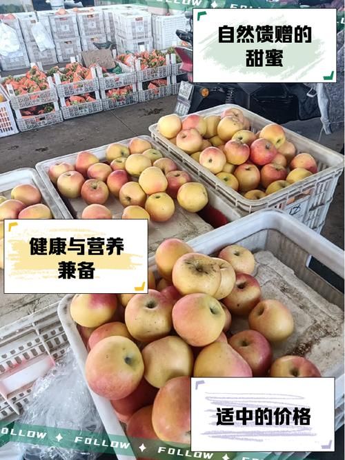 哪里能买到正宗的小蜜桃？老果农推荐这几个产地！