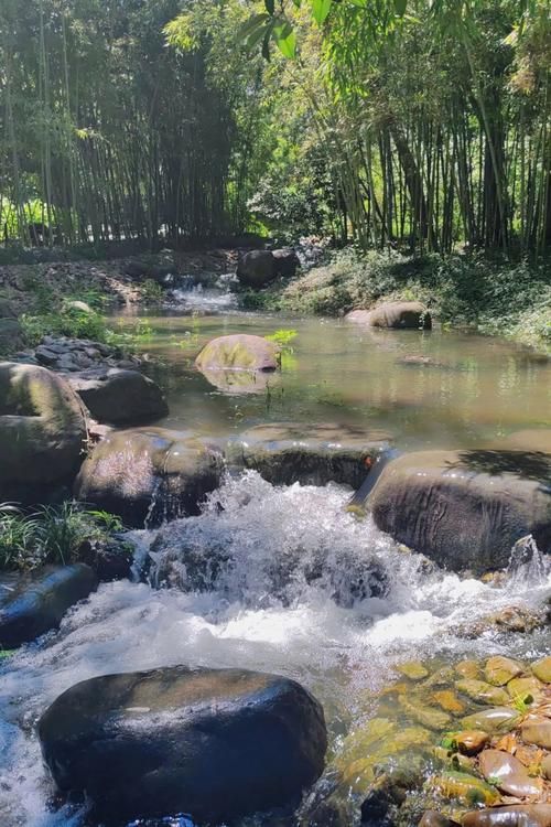 哪里能感受真正的竹林风？这几个地方风景超赞！
