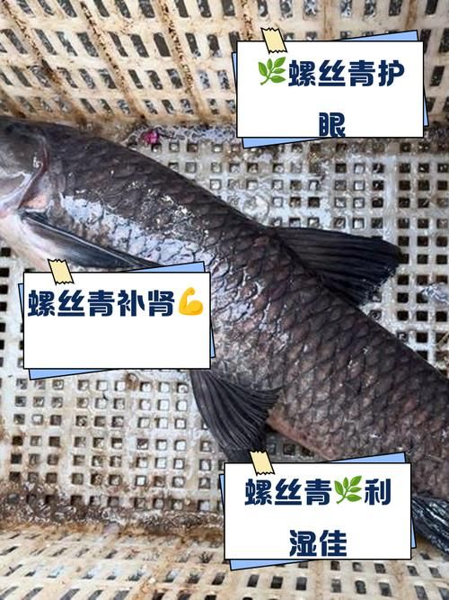 哪里能找到青丝引完整资源？这几个渠道安全可靠！