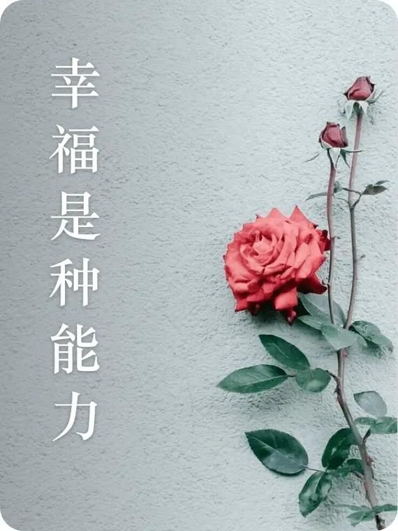 在从前简单的快乐俯拾皆是，现在为何觉得幸福很难？
