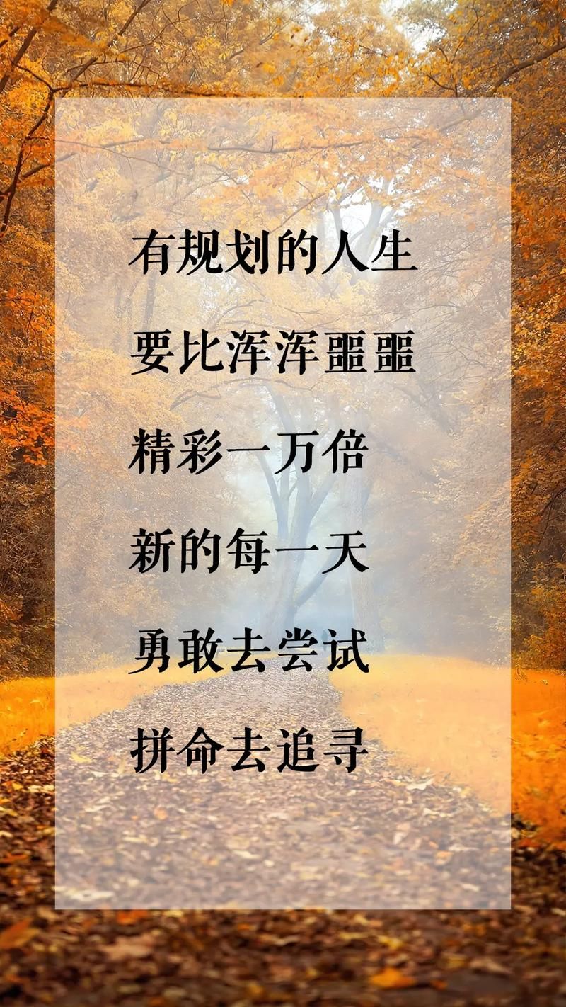 坚持不将就的生活态度，你会收获意想不到的惊喜！
