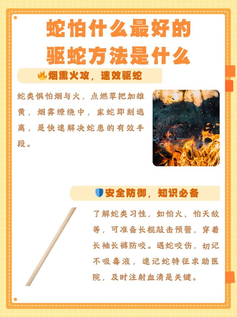 夏天蛇来了怎么防？农村家里防止蛇进来的有效小妙招！