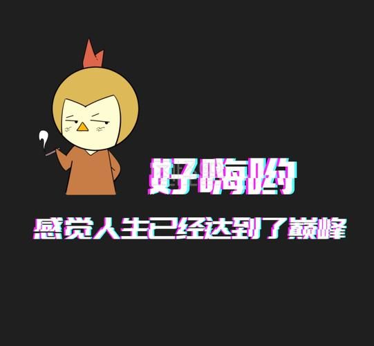 好嗨哦感觉人生到达了巅峰！这个梗怎么用才地道？