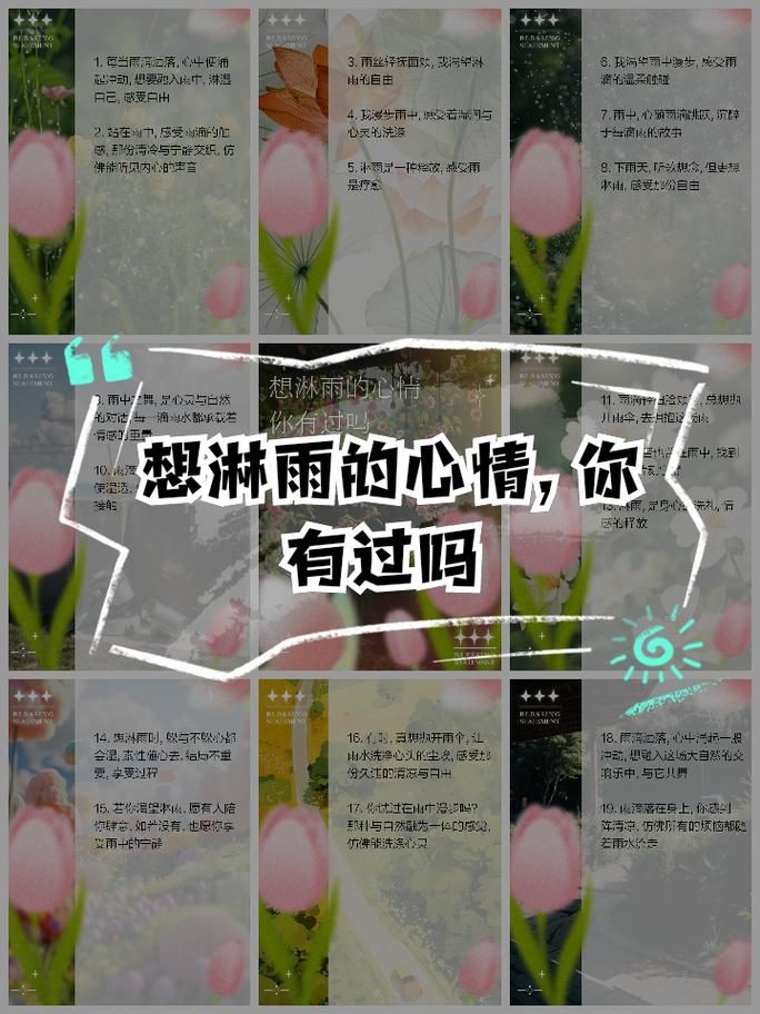 如何理解雨晴泪的含义？读懂它才能体会那种复杂心情。
