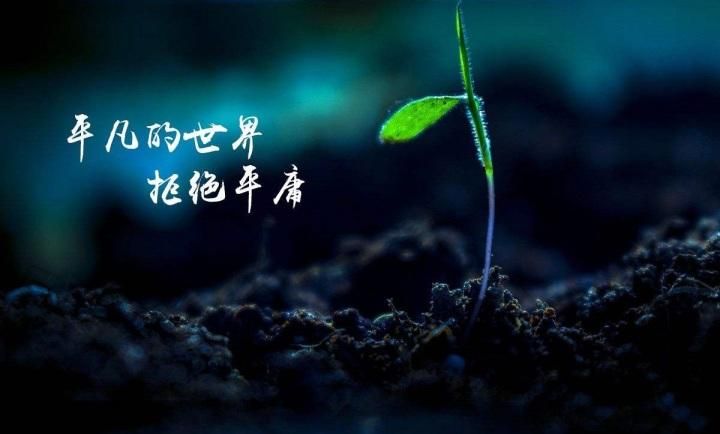 尹福姬的故事你知道吗？了解她不平凡的人生经历！