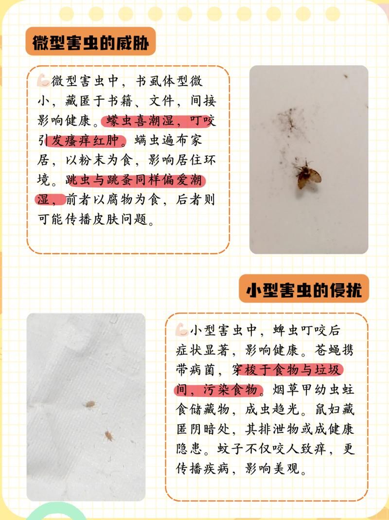 常见的小小虫有哪些种类？快来看看你都认识哪几种！