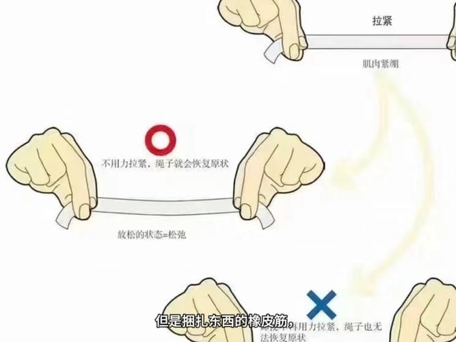 怎么让东西弹起来更高？掌握这几个窍门很简单！