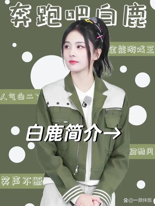 想了解鹿可儿的更多信息？这篇文章给你全面介绍！