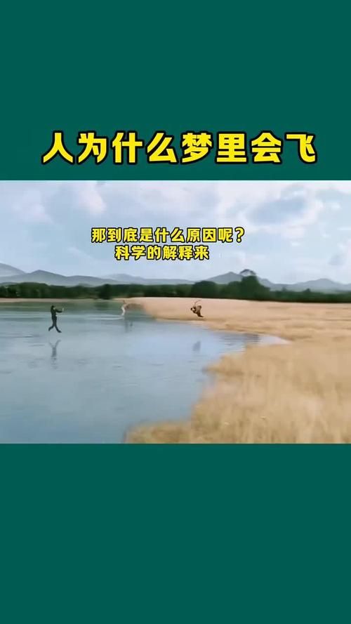 想体验天上飞的感觉怎么办？这几个项目能让你过把瘾！